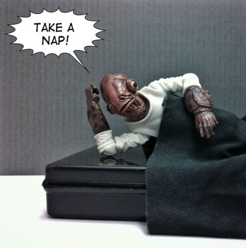 The Admiral taking a nap with a caption reading 'Take a Nap!'
